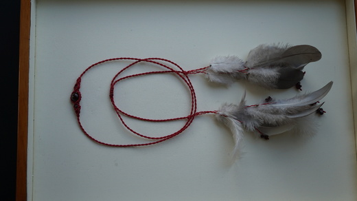 DSC01107.JPG