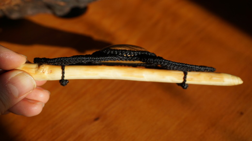 DSC01438.JPG