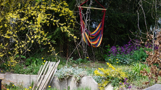 DSC01600.JPG