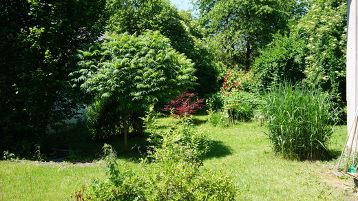 DSC03043.JPG
