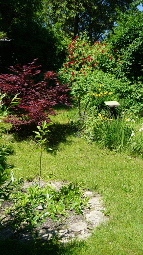 DSC03044.JPG