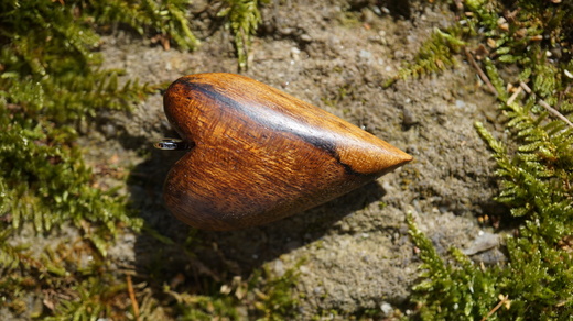 DSC06716.JPG