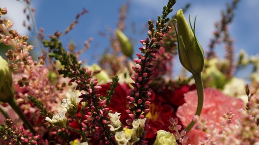 DSC08116.JPG