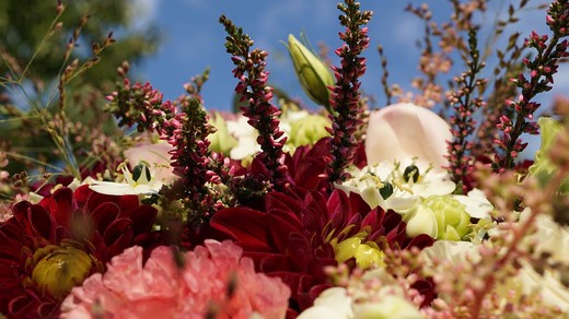 DSC08118.JPG