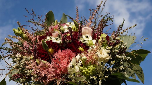 DSC08121.JPG