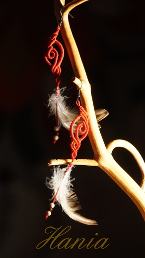 DSC08936.JPG