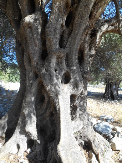DSCN3747.JPG