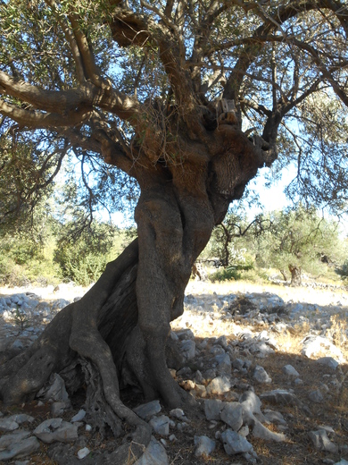 DSCN3748.JPG