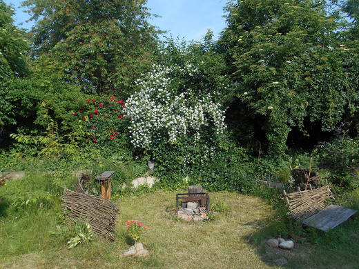 DSCN8811.JPG