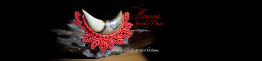 Hania-motiv-luna-2-2000x467.jpg
