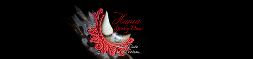 Hania-motiv-luna-4-2000x467.jpg