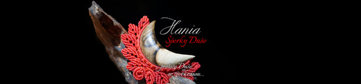 Hania-motiv-luna-5-2000x467.jpg