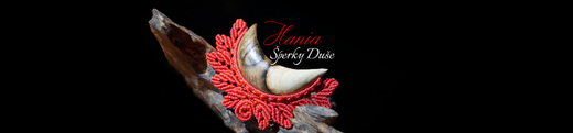 Hania-motiv-luna-7-2000x467.jpg