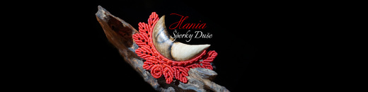 Hania-motiv-luna-8-2000x500.jpg