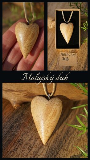 Malajský dub